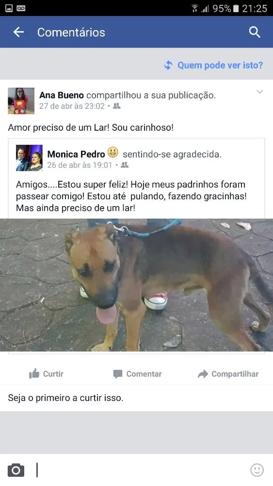 Cachorro ra a Srd idade 2 anos nome Billy 