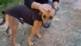 Billy 