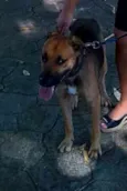 Billy 