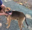 Billy 