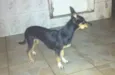 Belinha