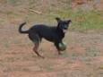 ALEFF,Paixão!