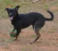 ALEFF,Paixão!