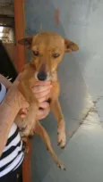 Ralf