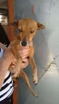 Ralf