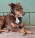 Mônica - Fofura!