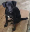 Bob 