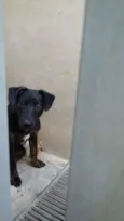 Bob 