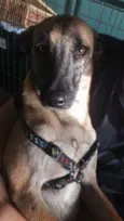 Moisés