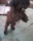 bidu