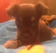 Choky