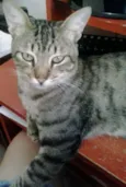 Luiz