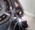 Sebastian