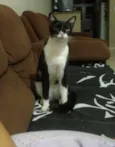 Sebastian
