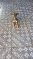 ainda não tem nome