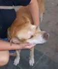BONITÃO