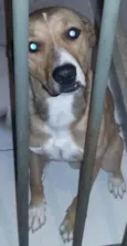 marvin