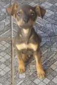 ainda não tem nome