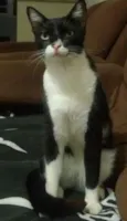 Sebastian