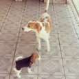 LUTERO