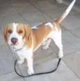 LUTERO