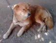 Bob