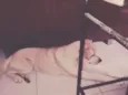 Reik 