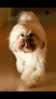 Ralph