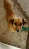 Mel
