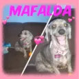 MAFALDA