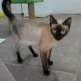 ÂNGELA