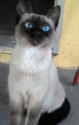 ÂNGELA