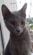 Nina