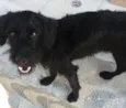 Não identificado