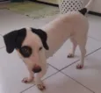 Belinha