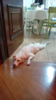 boris