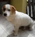 Tob