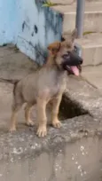 Tiquinho 