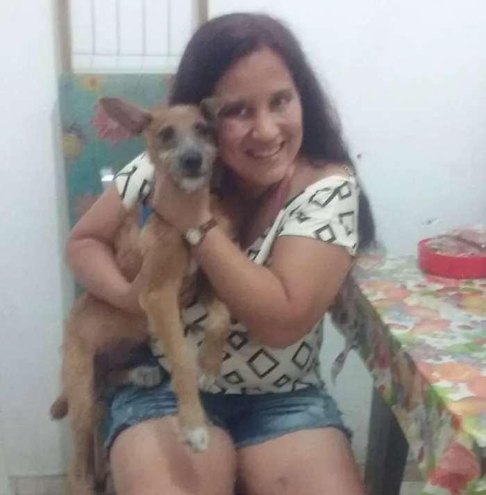 Cachorro raça Indefinida idade 7 a 11 meses nome Scooby Doo