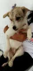 Princesa