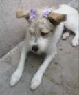 Princesa