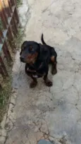 ADOTE