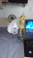 simba