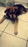 kiara