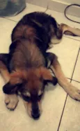 kiara
