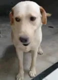 Eiko