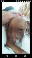 Princesa