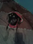 Jack