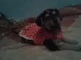 Jack