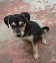 Jack